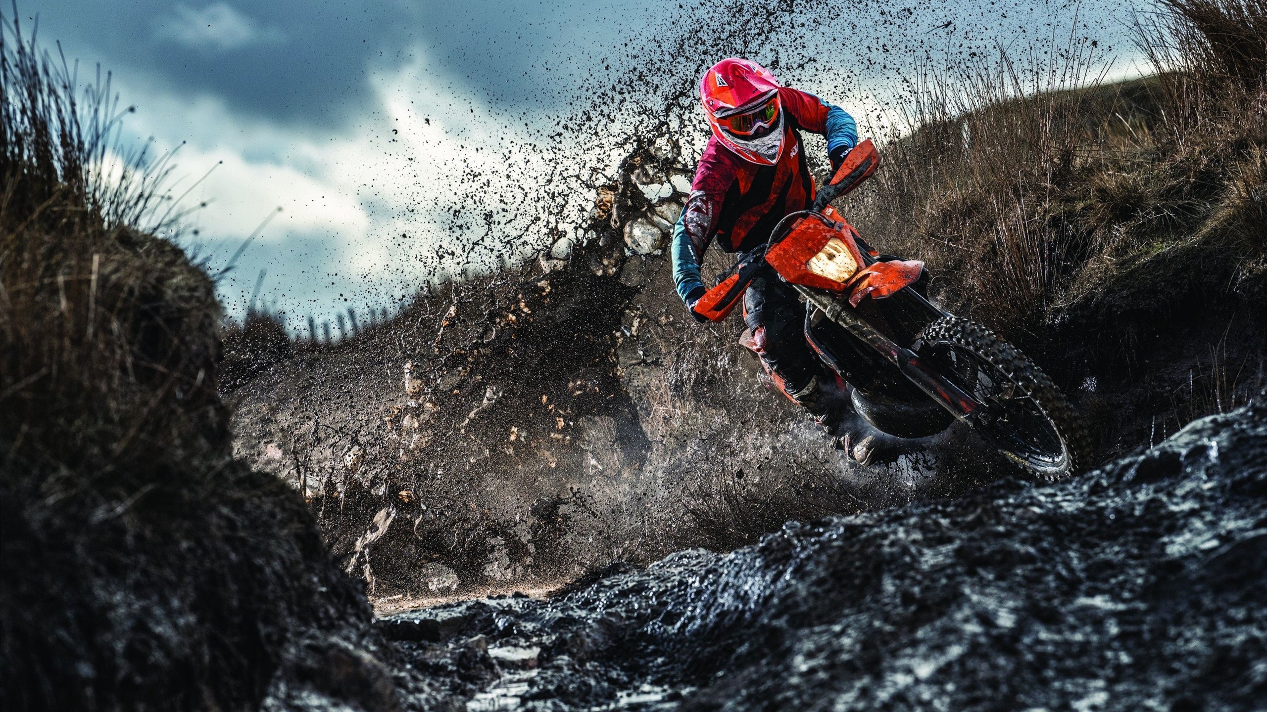 Scout重要时刻反败为胜，美国队带队取胜！引发球迷热议